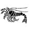 the scorpion suitable for tattoo art