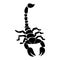 Scorpion tatoo