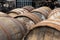 Scotch barrels at the whisky distillery, Scotland