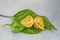 Scotch Bonnet Pepper On Leaf