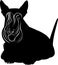 Scotch Terrier. Scotch terrier minimalist image on a white background