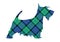 Scotch terrier tartan national pattern flower of scotland