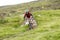 Scotland - August 14, 2010: Cyclists descending down a steep slope among the muddy mountains