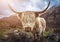 Scotland, UK - Portrait of a Highland Cattle at the Glamaig