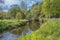 Scotlands Parks Lucious Greenery and a Gentle Flowing River with Reflections on the Water