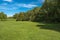 Scotlands Parks Open Grass Areas and Lucious Greenery Being Surrounded by mature Scottish Trees