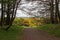 Scotstown Moor Path in Aberdeen, Scotland