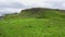 Scottish breed sheep grazing quietly in the open countryside on the Isle of Skye, Scotland.