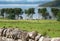 Scottish country road with stone wall,leading to Applecross village,Highlands of Scotland,UK