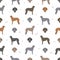 Scottish deerhound seamless pattern. Different poses, coat colors set