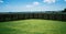 Scottish Fields in Summer Background