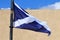 Scottish flag detail