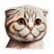 Scottish Fold cat portrait icon front head.