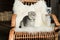 Scottish fold cat sitting on rocking chair with woolly blanket