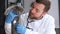 Scottish fold kitten in the veterinary clinic. The veterinarian holds the kitten and examines it.