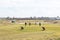 Scottish golfers enjoying a game of golf at Prestwick Golf Club on the first day of release from lock down by the Scottish