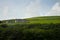 Scottish green landscape, farm in Orkney Island