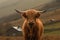 Scottish highland cow. Generative AI