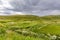 Scottish highlands meadow