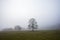 Scottish land with fog and mountains