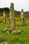 Scottish Landmarks - Glengorm Standing Stones