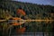 Scottish Landscape Crannog