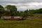 Scottish Landscapes - Boats in Salen Bay