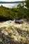 Scottish Landscapes -Eas Fors Waterfall