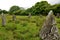 Scottish Landscapes - Loch Buie Standing Stones
