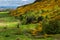 Scottish Lowlands Landscape In Spring