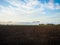 Scottish Lowlands panorama