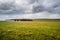 Scottish pasture land in front of the Dunkansby Stacks