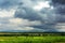 Scottish rural landscape