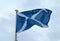 Scottish Saltire Flag In Motion