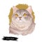 Scottish straight cat breed. Highland cat, Scottish Straight Longhair, semi-long-haired kitten hand drawn isolated. Digital art