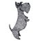 Scottish Terrier Hand drawing Isolated Object