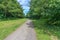 Scottish Tree lined Footpath running to the left with Sunlight a