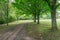 Scottish Tree lined Footpath with Soft light and Shadows.