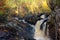 Scottish Waterfall, the Rogie Falls, in Autumn