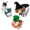 Scottish, wizard, leprechaun costume on goat, sheep and pig