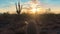 Scottsdale Arizona desert sunset
