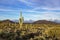 Scottsdale AZ landscape image with cactus and mountains