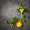 Scourge pumpkin with flowers and fruits on a dark gray background. Flat lay, copy space. Time to harvest