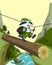 Scout raccoon goes on a log. Crossing the mountain river