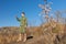 Scout standing on a rock taking a compass reading