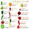 Scoville pepper heat scale. Vector illustration.