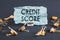 A scrap of blue paper with clips on a gray background with the text - Credit Score