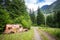 Scrap car at Birkenhead Lake near Pemberton British Columbia