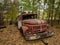 Scrap of fire truck left after the Chernobyl disaster. Chernobyl Exclusion Zone, Ukraine.