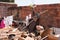 Scrap and Junk Piled up at the home of a poor Family